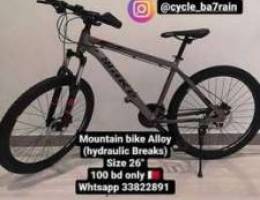 Mountain Bike Alloy( hydraulic Breaks)