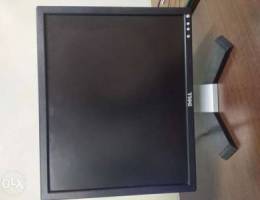 Dell 19" Monitor