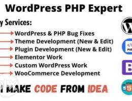 we do wordpress website design and develop...