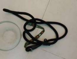 For Dog leash with colar and pot