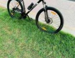 Giant cycle for sale